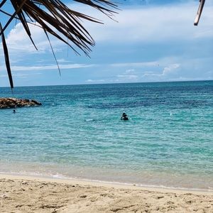 Meet your Posher, Nadine